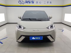 BYD Seagull 305km Free Version - ფოტო 3