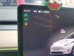 Tesla Model Y Facelift 545km Rear-Wheel Drive Edition - ფოტო 7