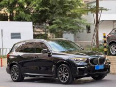 BMW X5 xDrive30Li Deluxe VersionM - фото 1