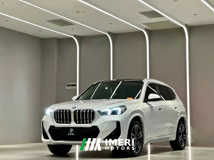 BMW X1 sDrive25Li X Design Package - car from China