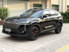 Haval H6 1.5T Two-Wheel Drive Classic Edition - ფოტო 1