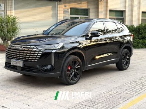 2024 Haval H6 1.5T Two-Wheel Drive Classic Edition - car from China