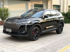 Haval H6 1.5T Two-Wheel Drive Classic Edition - ფოტო 6