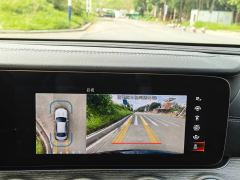 Mercedes-Benz E Class Plug-in Hybrid E PHEV E 350 e L - photo 13