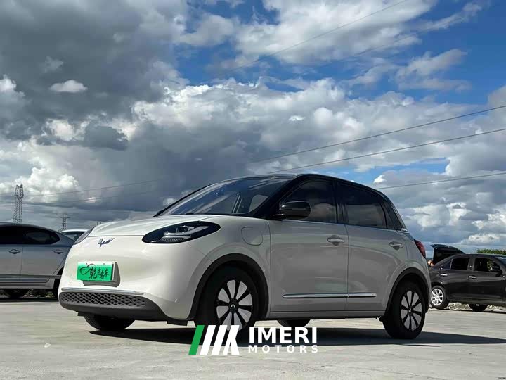 Wuling Binguo 333km Joy Edition