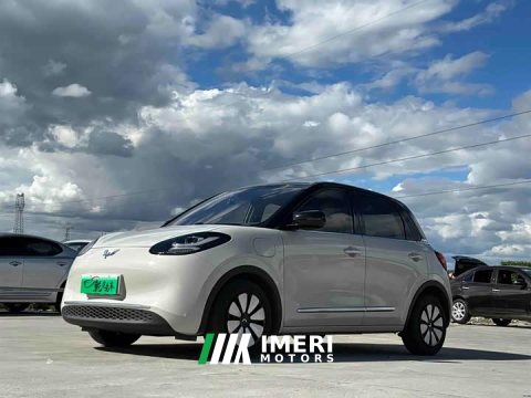 2023 Wuling Binguo 333km Joy Edition - ავტომობილი ჩინეთიდან