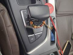 Audi A4L 40 TFSI Luxury Dynamic - ფოტო 10