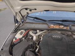 Audi A4L 40 TFSI Luxury Dynamic - ფოტო 20