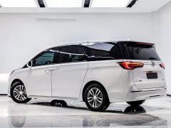 Buick GL8 ES 653T Luxury Version- Edition 7 - ფოტო 19