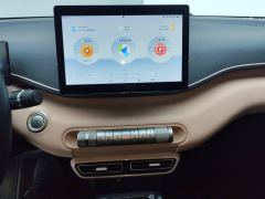 BYD Seagull 305km Free Version - ფოტო 17