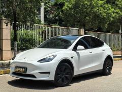 Tesla Model Y 554km Rear-Wheel Drive Edition - фото 1