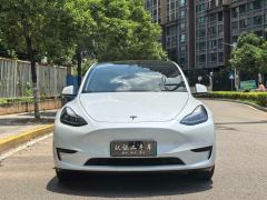 Tesla Model Y 554km Rear-Wheel Drive Edition - фото 2