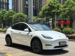 Tesla Model Y 554km Rear-Wheel Drive Edition - фото 3