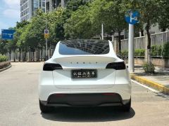 Tesla Model Y 554km Rear-Wheel Drive Edition - фото 5
