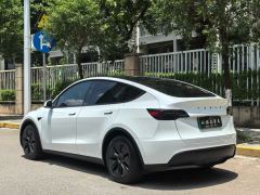 Tesla Model Y 554km Rear-Wheel Drive Edition - фото 6