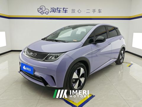 2023 BYD Dolphin 420km Stylish Edition - ავტომობილი ჩინეთიდან