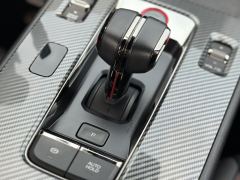 GAC Shadow Leopard 270T J15 Edition - ფოტო 19