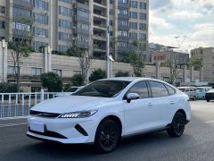 BYD Qin PLUS EV Smart Driving Edition 510km Progressive - ფოტო 1