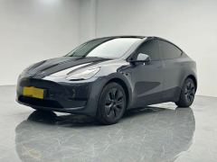 Tesla Model Y 554km Rear-Wheel Drive Edition - ფოტო 1