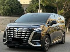 Denza D9 DM-i 1.5T 190km AWDPremium Version 7 - ფოტო 1