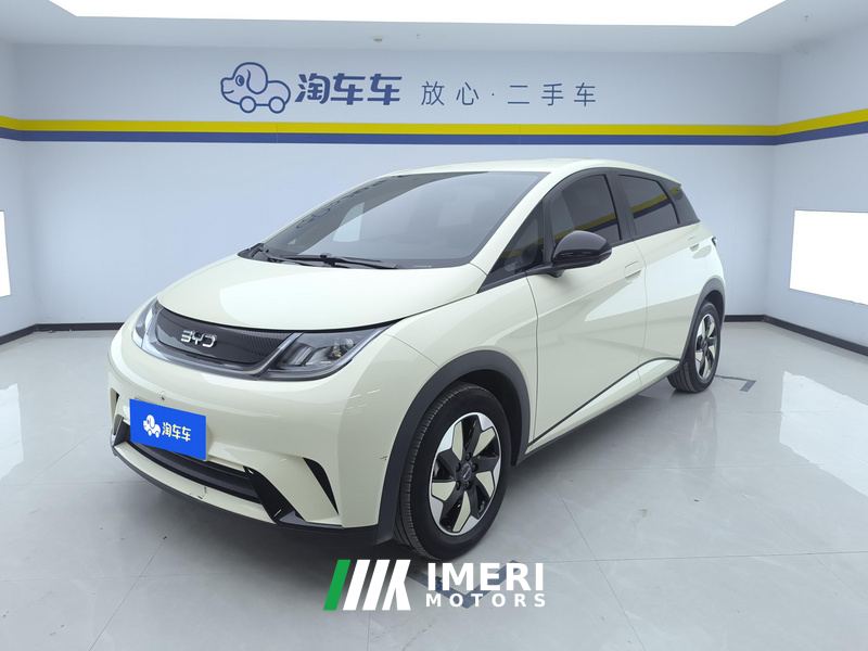 BYD Dolphin 420km Free Version - car from China