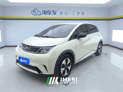 2025 BYD Dolphin 420km Free Version - ავტომობილი ჩინეთიდან