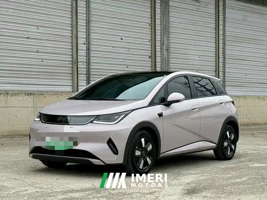 BYD Dolphin 420km Stylish Edition - ავტომობილი ჩინეთიდან