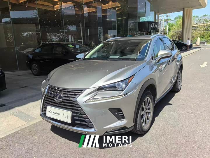 Lexus NX 2020 200 AWD Feng Shang Edition National V