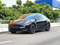 Tesla Model Y 660km Long Range AWD - фото 1
