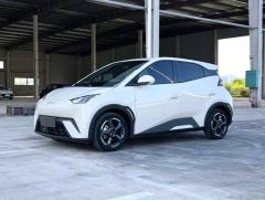 BYD Seagull Honor Edition 405km Flying Edition - ფოტო 1