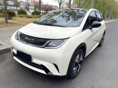 BYD Dolphin 420km Stylish Edition - photo 1