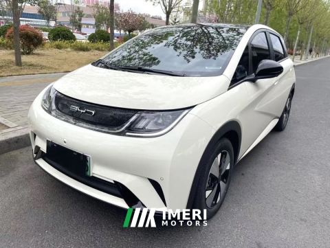 2023 BYD Dolphin 420km Stylish Edition - ავტომობილი ჩინეთიდან