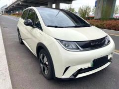 BYD Dolphin 420km Stylish Edition - photo 3