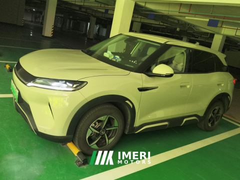 2024 BYD Yuan UP 401km Leading Edition - car from China