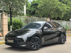Tesla Model Y 554km Rear-Wheel Drive Edition - фото 1