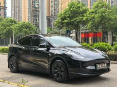 Tesla Model Y 554km Rear-Wheel Drive Edition - фото 3