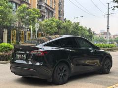 Tesla Model Y 554km Rear-Wheel Drive Edition - фото 4