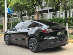 Tesla Model Y 554km Rear-Wheel Drive Edition - фото 6