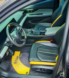 GAC Shadow Leopard 270T J15 Edition - ფოტო 4