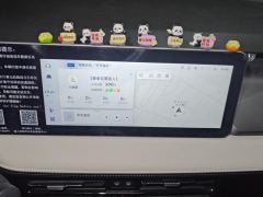 Geely Geometry E Firefly 301km Aurora - ფოტო 17