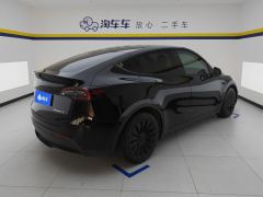 Tesla Model Y 545km Rear-Wheel Drive Edition - фото 2