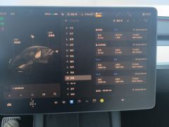 Tesla Model Y Standard endurance rear-wheel drive - ფოტო 20