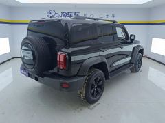 Tank 300 Off-Road Edition 2.0T Conqueror - фото 2