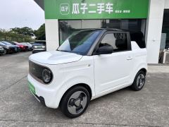Geely Galaxy Panda mini 200km Animated Bear - ფოტო 1