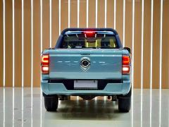 Great Wall Cannon Edition 2.4T AWD Version - ფოტო 19