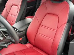 Porsche Cayenne 3.0T - ფოტო 16