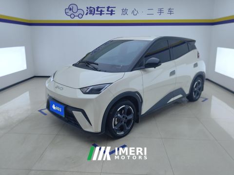 2024 BYD Seagull Honor Edition 405km Flying Edition