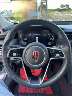 FAW H5 1.5T Edition - ფოტო 20