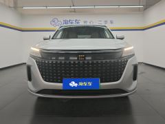 Blue Electric E5 1.5L DE-i 100km Version - photo 3