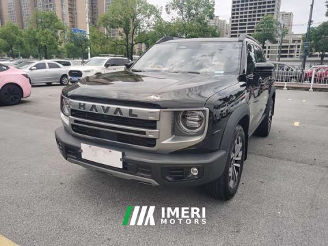 2024 Great Wall Dachshund 1.5T DCT Border Collie Edition - ავტომობილი ჩინეთიდან